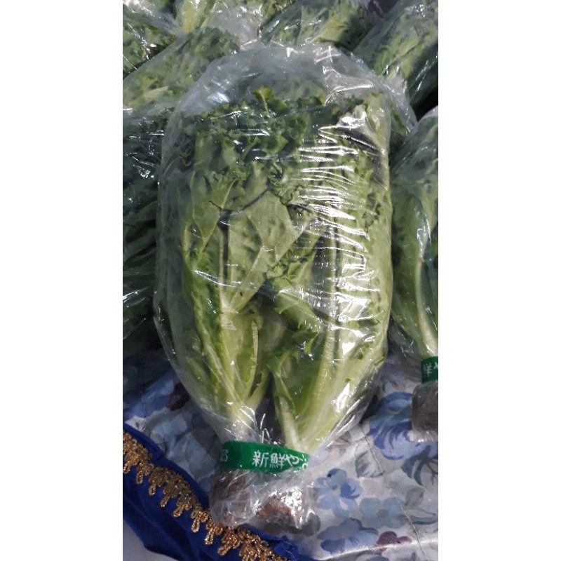 

Selada Hidroponik (500 gram)