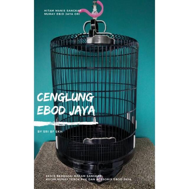 Harga Sangkar Burung Murai Ebod Blog Tentang Burung