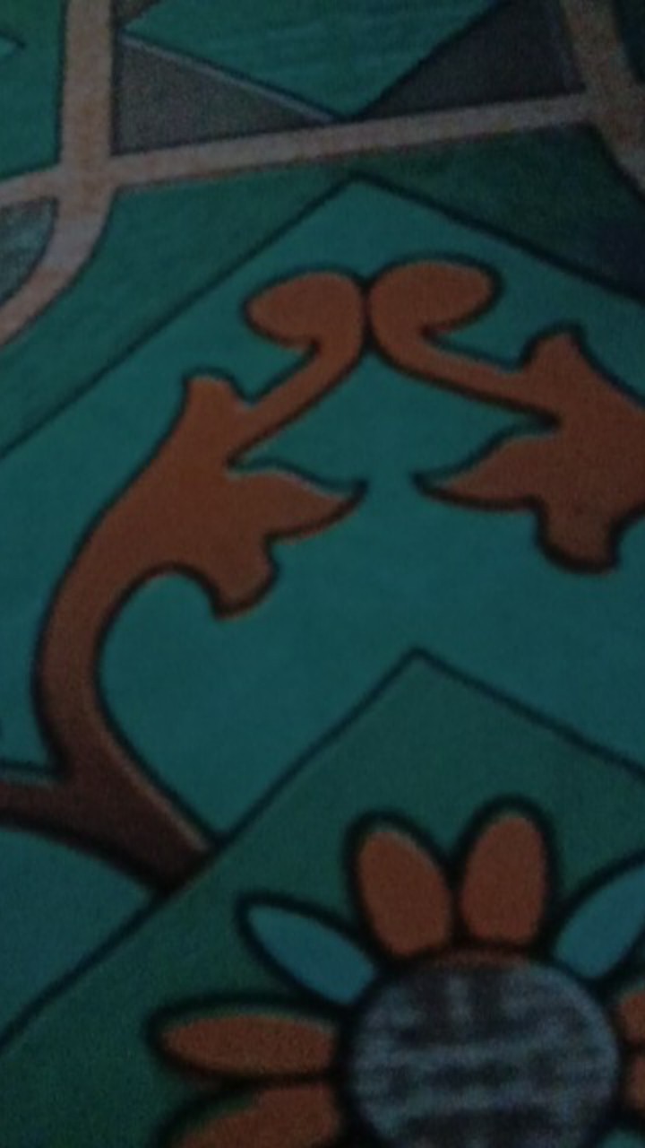 Bibit Murbei Berbuah