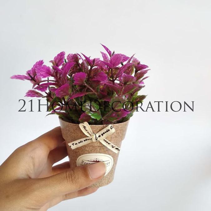 Diskon Vas Bunga Pita Pretty Flower Pot Plastik Tanaman Artificial Miana Vb16 Terbaru