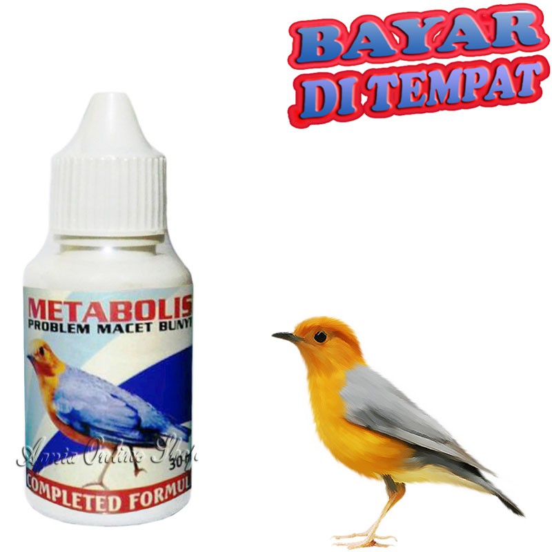 OBAT BURUNG SAKIT METABOLIS ANTIBIOTIK FLU DIARE PENCERNAAN MURAI KACER PLECI LOVE BIRD ANIS