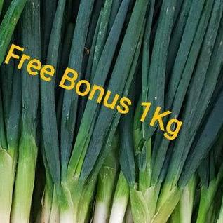 

10.10 Promo Brand Daun Bawang Besar 1kg + Gratis Bonus murah
