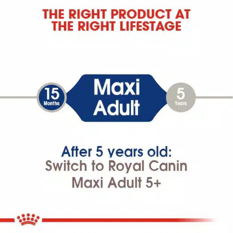 Royal Canin Maxi Adult 15kg Makanan Anjing Maxi Berat 26-44kg Dog Food Adult 1 sd 8 Tahun