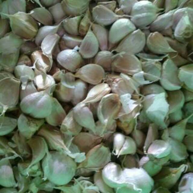 

Bawang putih bawang kating bumbu masak