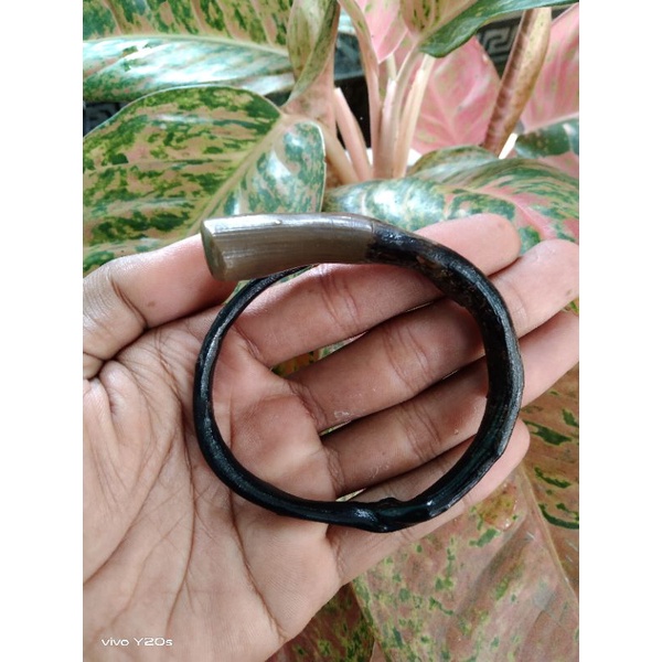 GELANG AKAR BAHAR HITAM BONGGOL ASLI