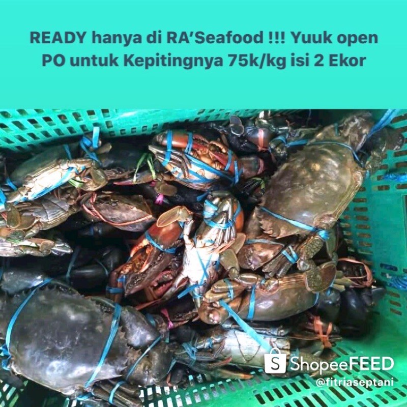 

Kepiting_Bakau