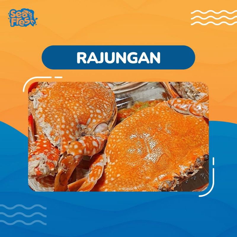 Rajungan Segar 1 Kg