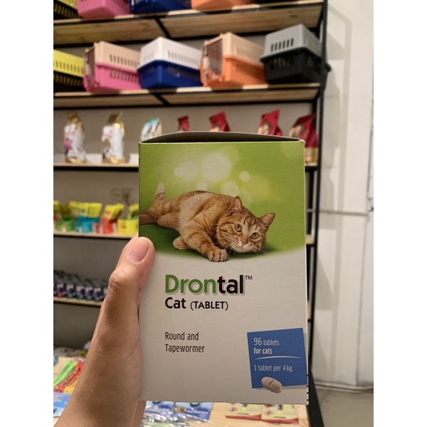 Drontal Cat