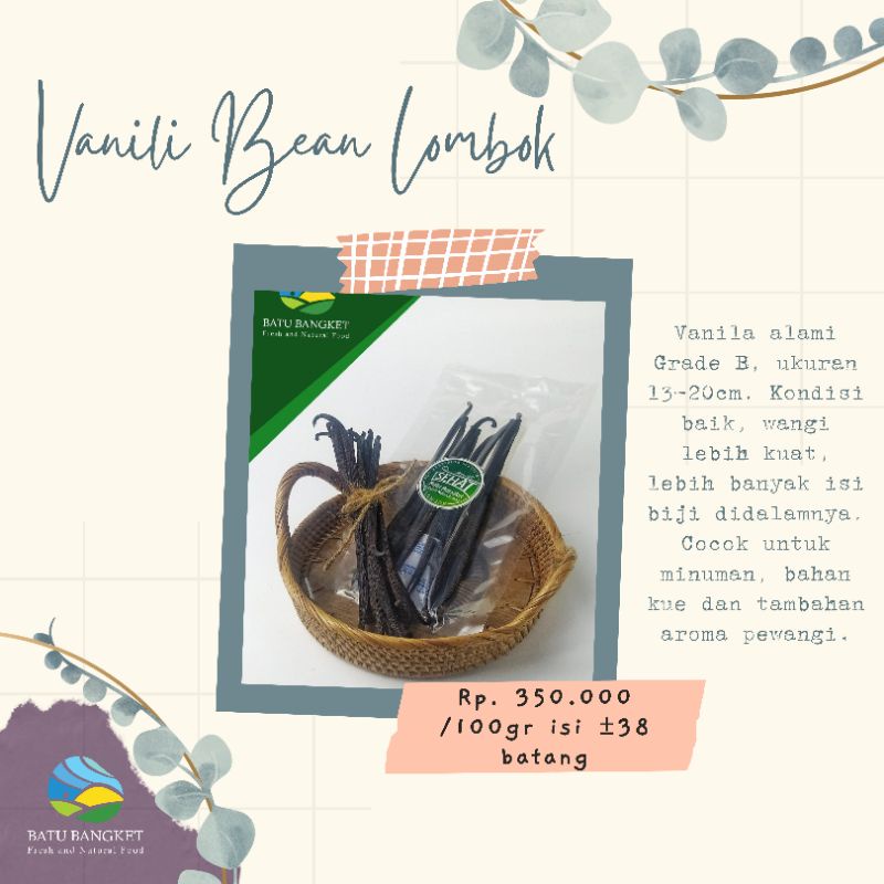 

GROSIR Vanili Bean / Vanila Alami Grade B Ukuran 10-15 cm Bijian