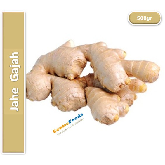 

Jahe Gajah Fresh | Putih [ Berat 0.5kg / 500gr ]