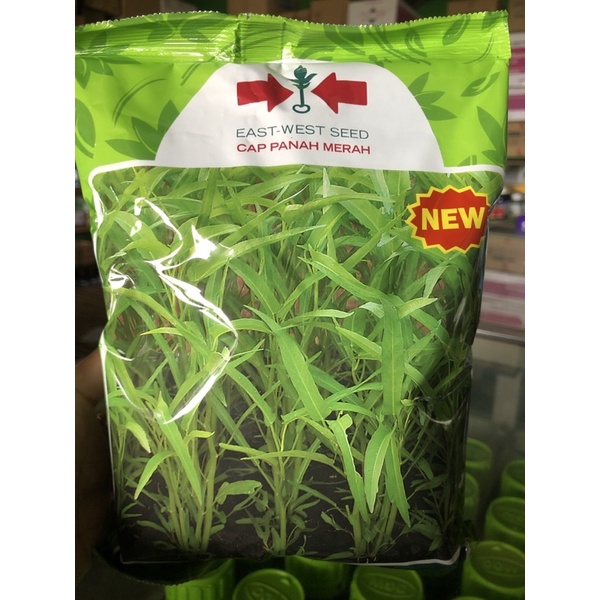 BENIH KANGKUNG SERIMPI