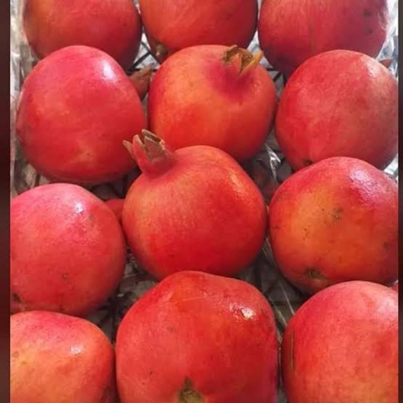 

delima import/1buah