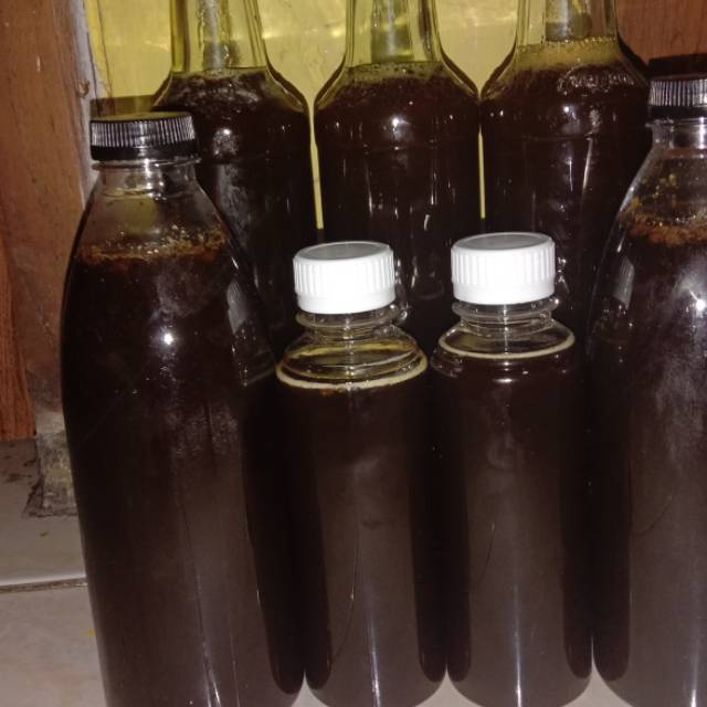 

Madu Hutan