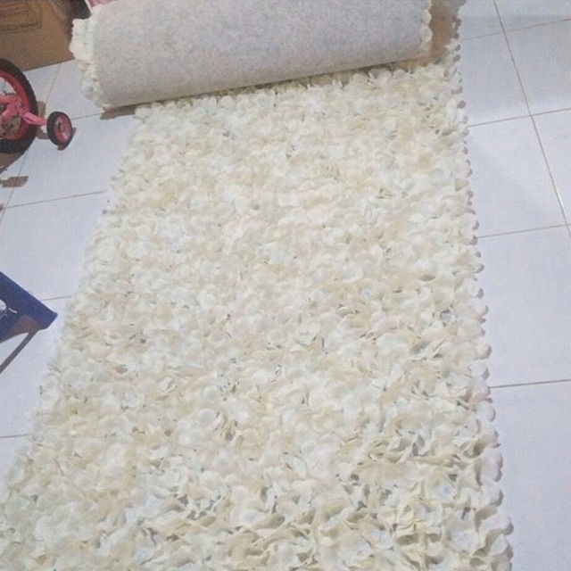 Karpet Rose Petal