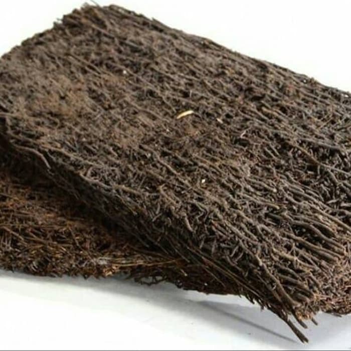 media tanam akar pakis - 10lempeng akar pakis - media tanam akar pakis