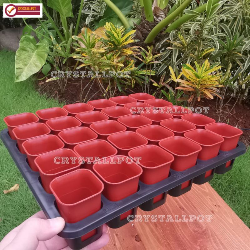 1 SET TRAY LUBANG 30 + POT NKT KOTAK 5CM MERAH BATA 30 PCS | TRAY SEMAI BIBIT