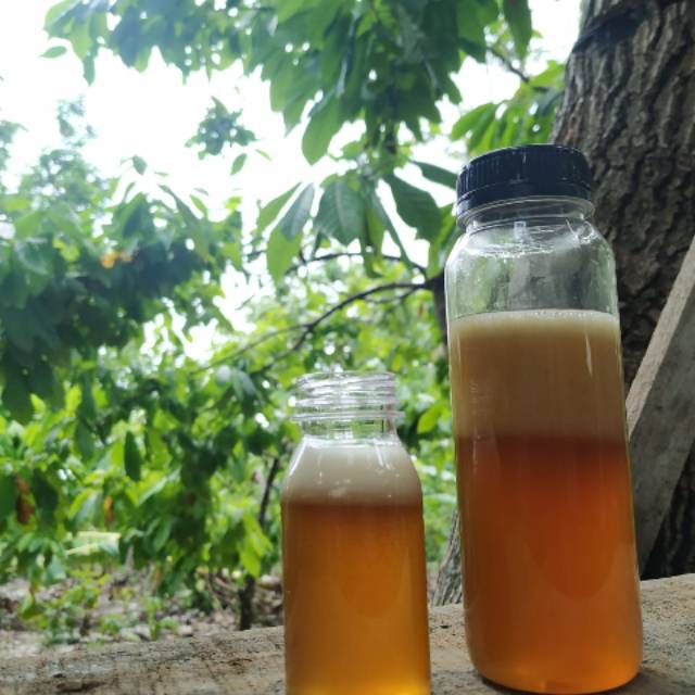 

Madu Asli