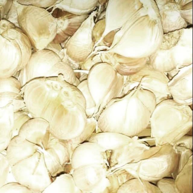 

Bawang Kating 22.000/kg