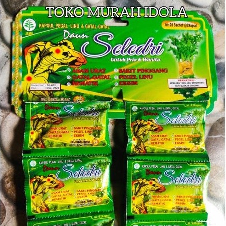 Herbal Kapsul Daun Seledri