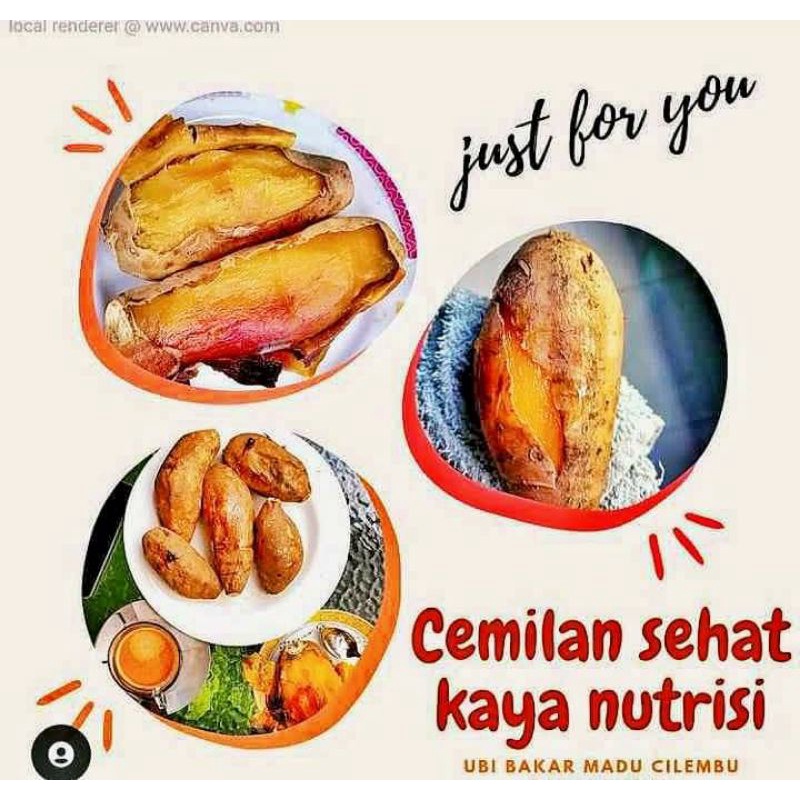 

ubi madu asli cilembu (matang)