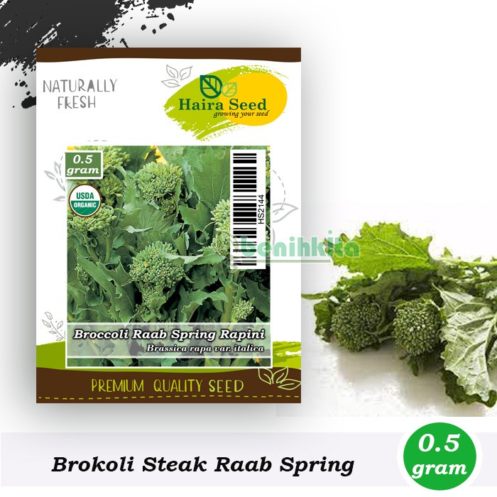 Benih-Bibit Brokoli Hijau Raab Spring Rapini (Haira Seed)