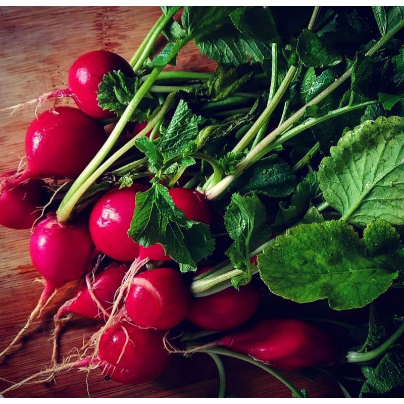 

RED RADISH FRESH / LOBAK MERAH SAYUR SEGAR 200 GRAM / PACK