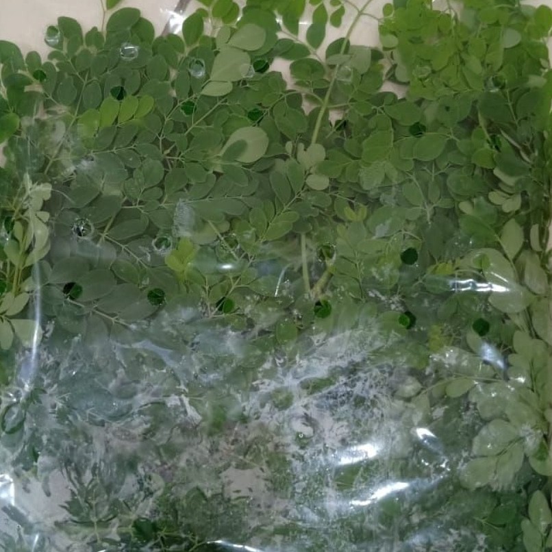 

Sayur Organik Daun Kelor. 2 pax @ 80 gram