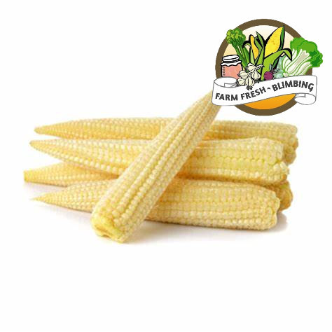 

baby corn 500gr