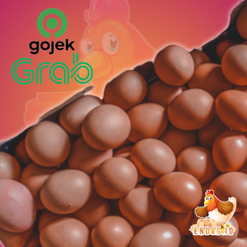 

Telur Ayam Negeri Super