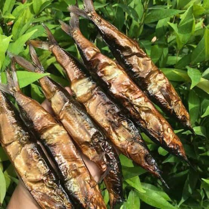

ikan roa 1 gp 20 ikan