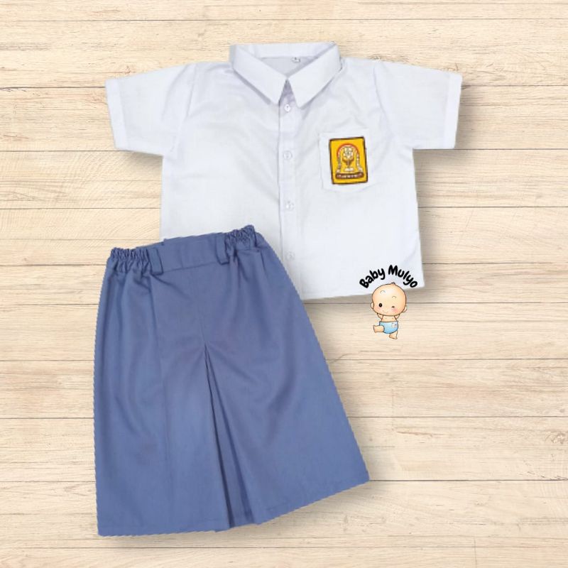 Seragam SD, SMP dan SMA bayi anak / seragam anak / kostum anak / baju unik / baju unik anak