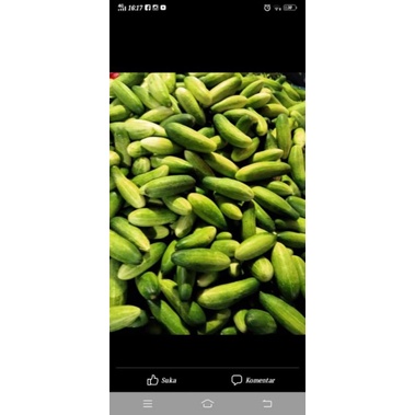 

mentimun/bonteng dijamin segar per 500gram