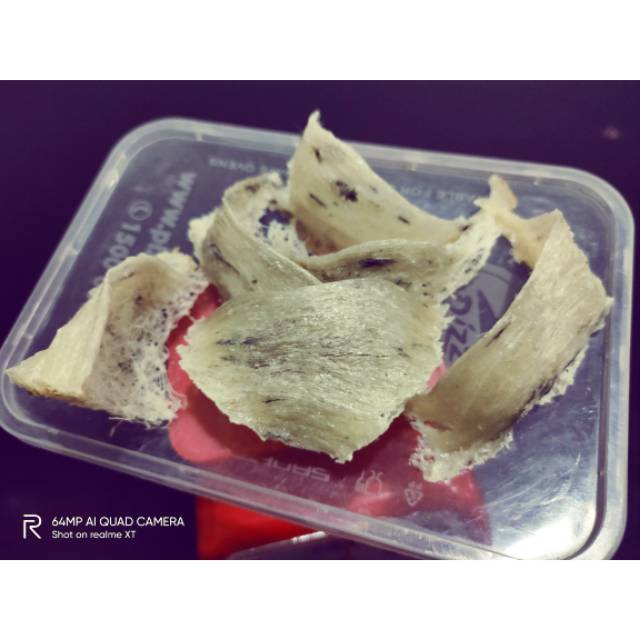 

Sarang Walet Asli (Mentah) 25gram