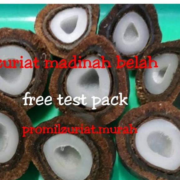 

BIG SALE!! (vbd-288) Buah zuriat belah Dan utuh madinah asli single promil murah 500 gr