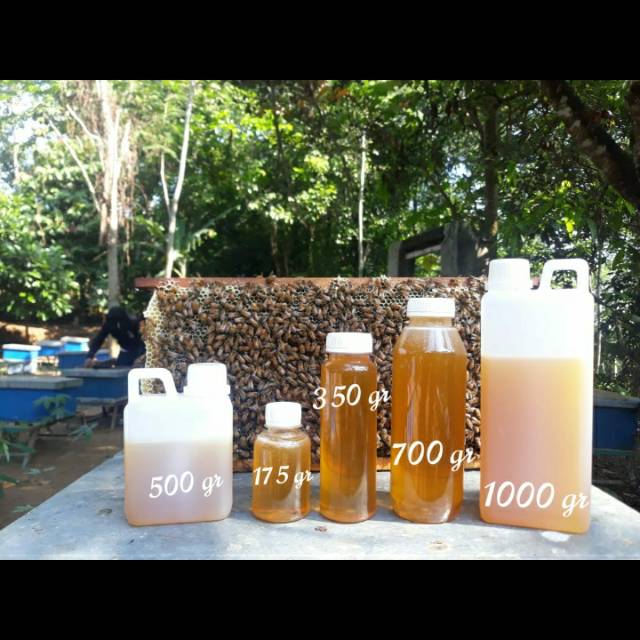 

Madu murni 1kg