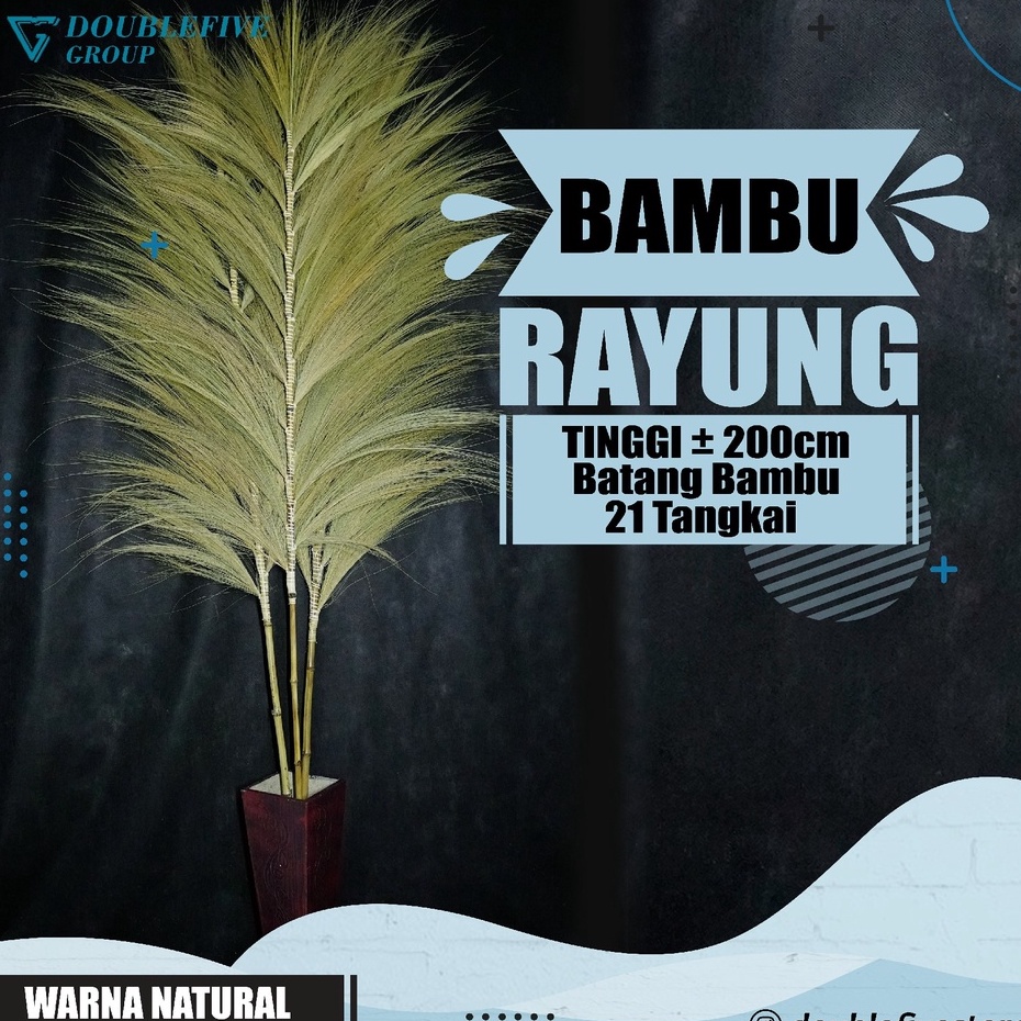 Rayung Jumbo - Rayung Kering Dekorasi - Rayung Stik Home Decor Rustik - Rayung Warna Terlengkap