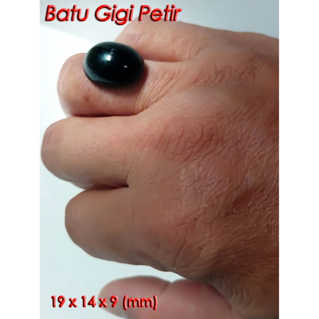 Cincin Batu Akik Pria Gigi Untu Geledek Gledek Petir Hitam Asli Original Bertuah Alamiah Alami
