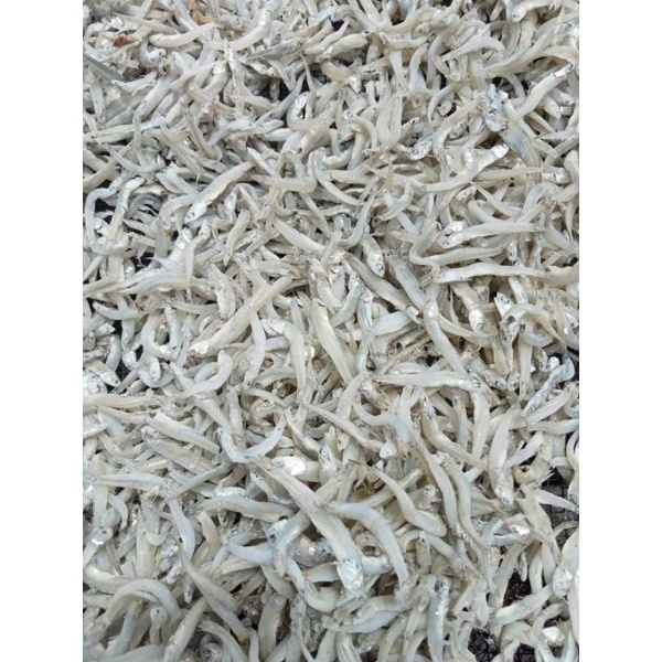 

teri bontio 1 kg
