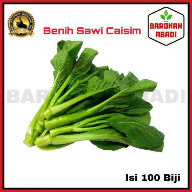 ( isi 100 biji )BENIH / BIBIT / BIJI / SEED SAWI CAISIM