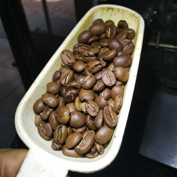 

kopi-biji- coffee bean biji kopi arabika bali kintamani 100 gr - medium roast, beans -biji-kopi.