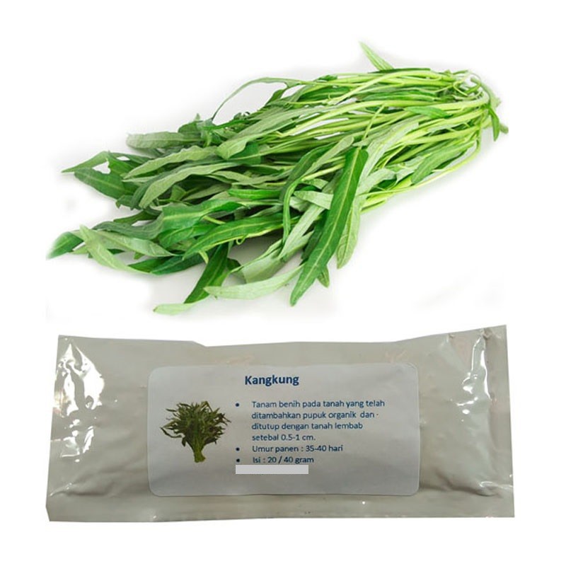 Benih Bibit Sayuran Kangkung 20 gram