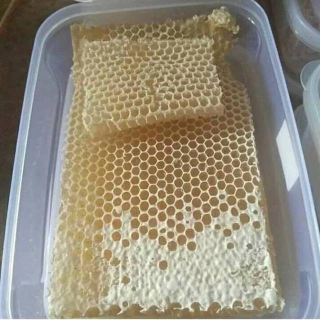 

Madu Sarang Apis Cerana 500 Gram