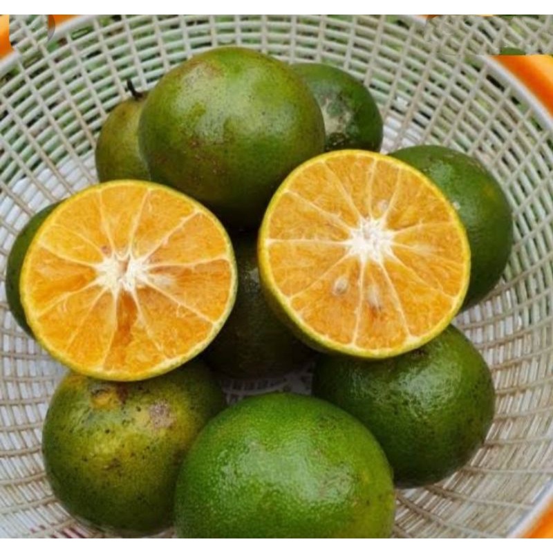 

JERUK PERAS PONTIANAK PER 1KG