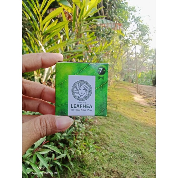 GlutaSoap Leafhea
