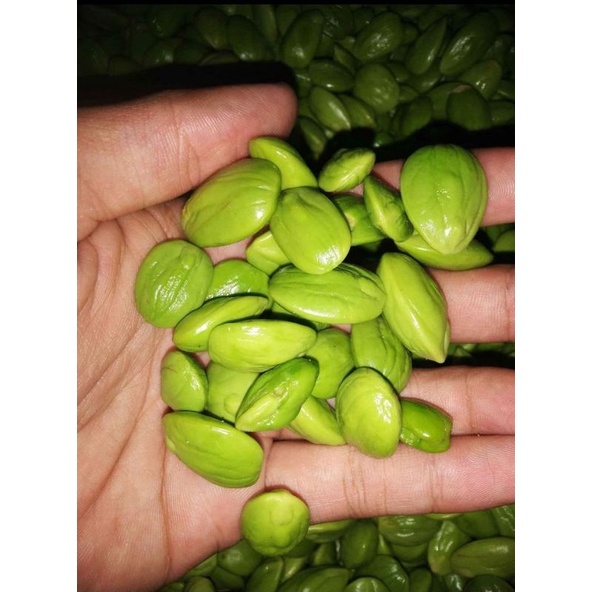 

petai kupas pontianak 1 kg