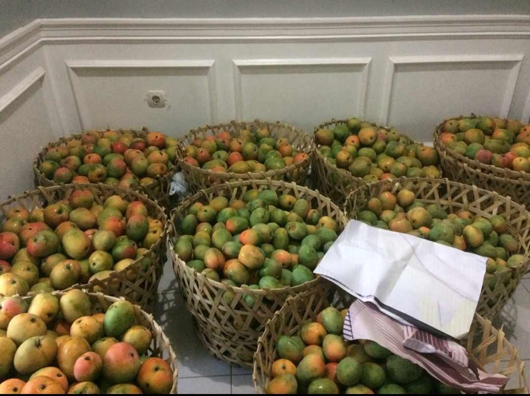 Rantang Beranak Stainless 5 Susun + Tutup  Termurah