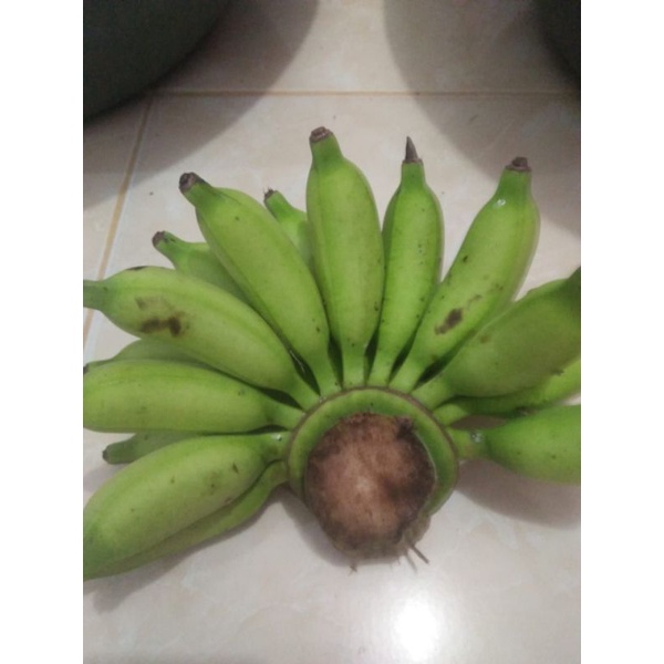 

Pisang 40 Hari
