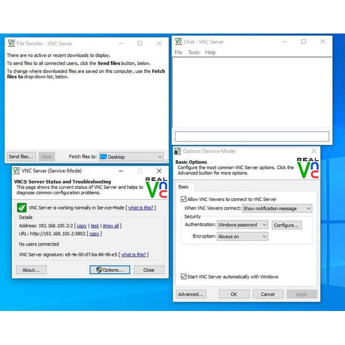 RealVNC Remote Access Desktop LIFETIME Enterprise Lisensi Real VNC