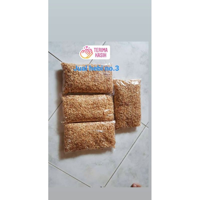 

hebi Bagan kecil