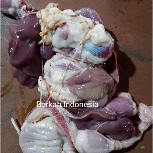 

Ati ayam sayur / Jeroan ayam bijian